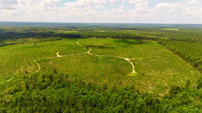 1 Three Notch Rd, Home with 0 bedrooms, 0 bathrooms and null parking in Monetta SC | Image 9