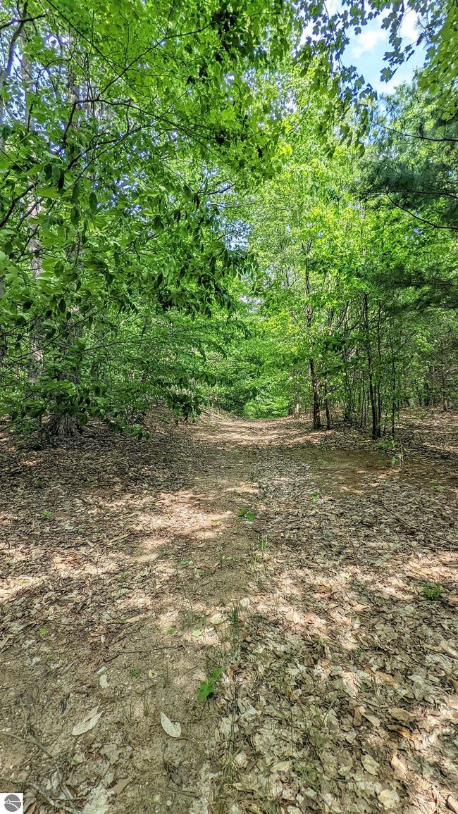 00 Stark Rd, Home with 0 bedrooms, 0 bathrooms and null parking in Mancelona MI | Image 5