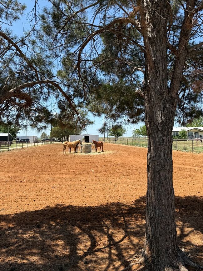 447 W Fm 1606, House other with 3 bedrooms, 2 bathrooms and 2 parking in Ira TX | Image 69