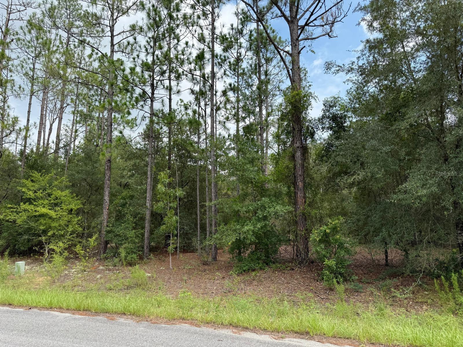 Land in CITRUS SPRINGS
