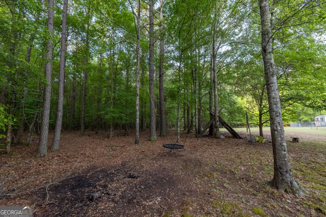 1776 Terrell Rd, House other with 4 bedrooms, 3 bathrooms and null parking in greenville GA | Image 35