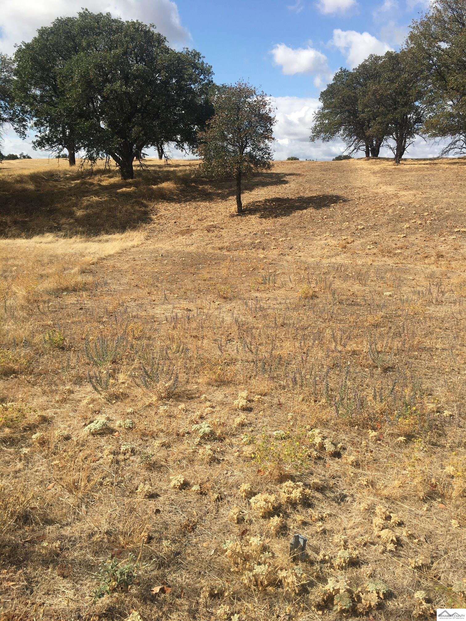 Land in Cottonwood 4