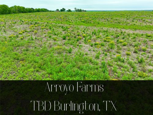 TBD Lot 8, Blk 2 132 Road, Burlington, TX, 76518 | Card Image