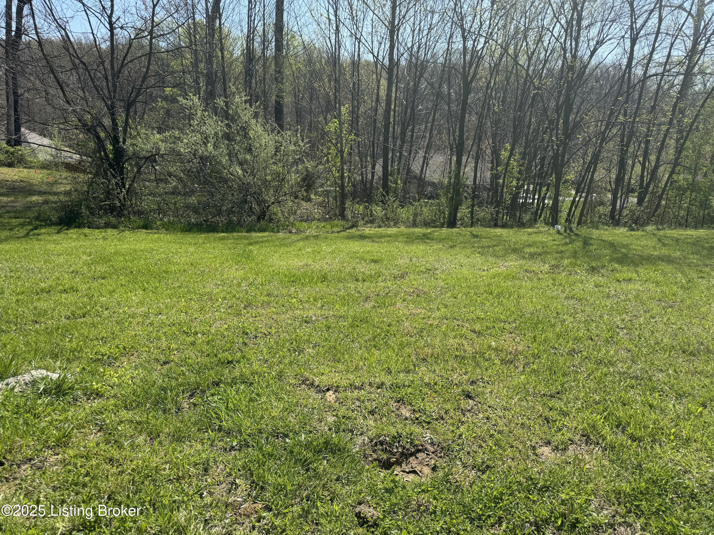 Land in Louisville 2