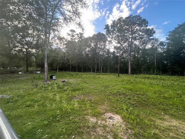 1 Judy Ln, Home with 0 bedrooms, 0 bathrooms and null parking in Shepherd TX | Image 4