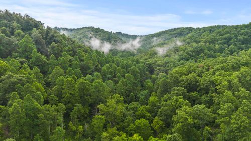 478 Kaiser Hollow Rd, Louisa, KY, 41230 | Card Image