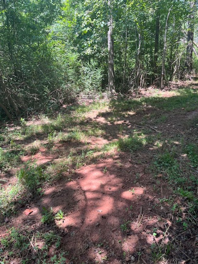57 Fox Run Rd, Home with 0 bedrooms, 0 bathrooms and null parking in Walhalla SC | Image 5