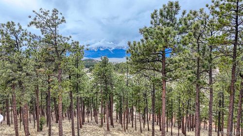 Lot 43 Beneaton Ln S, Westcliffe, CO, 81252 | Card Image