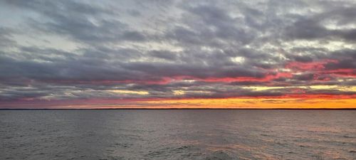 TBD Linda Chain, Livingston, TX, 77351 | Card Image