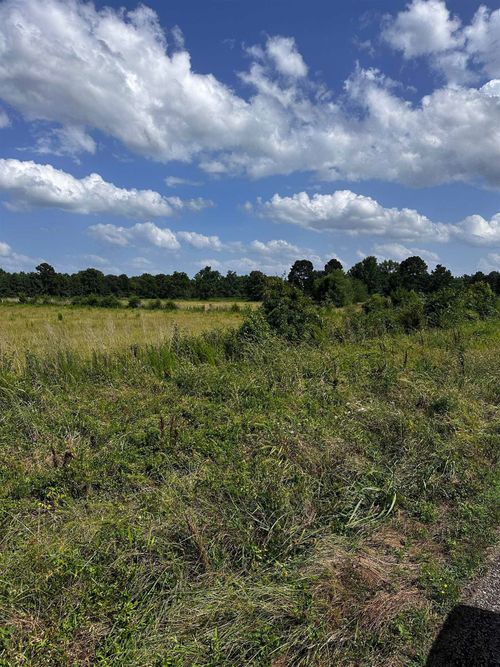 001 Fm 144 S, Daingerfield, TX, 75638 | Card Image