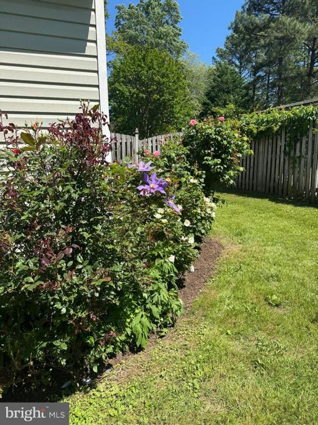 1203 Cove Dr, House other with 3 bedrooms, 3 bathrooms and null parking in CHURCHTON MD | Image 34