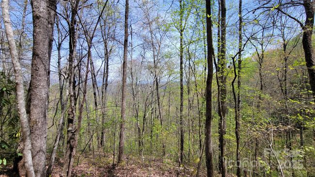 27 - 27 Lacy Fern Rdg, Home with 0 bedrooms, 0 bathrooms and null parking in Sylva NC | Image 8