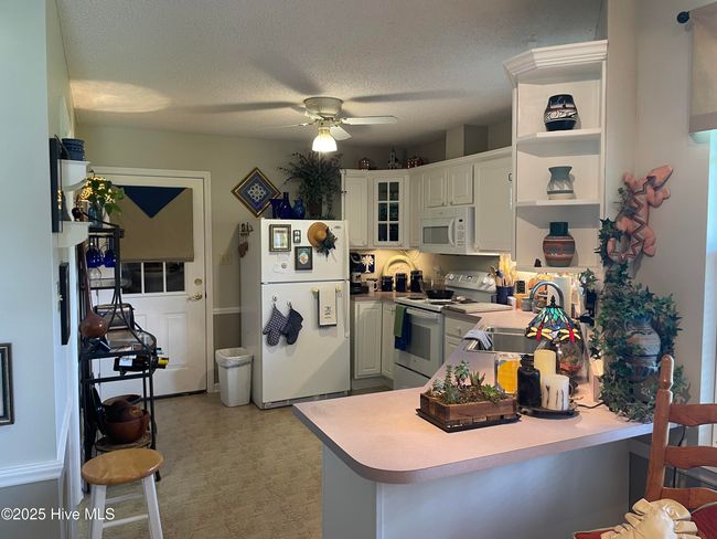 111 Spring Branch Dr, House other with 3 bedrooms, 2 bathrooms and 1 parking in Harrells NC | Image 28