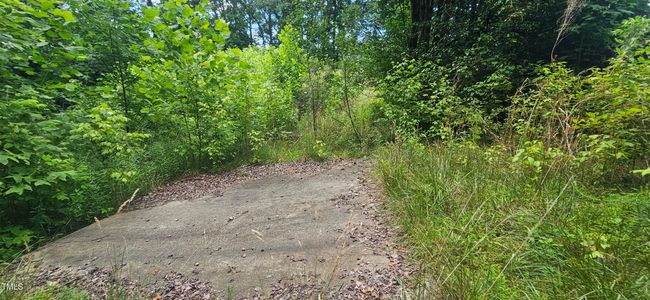 20240613_151006 | Image 16