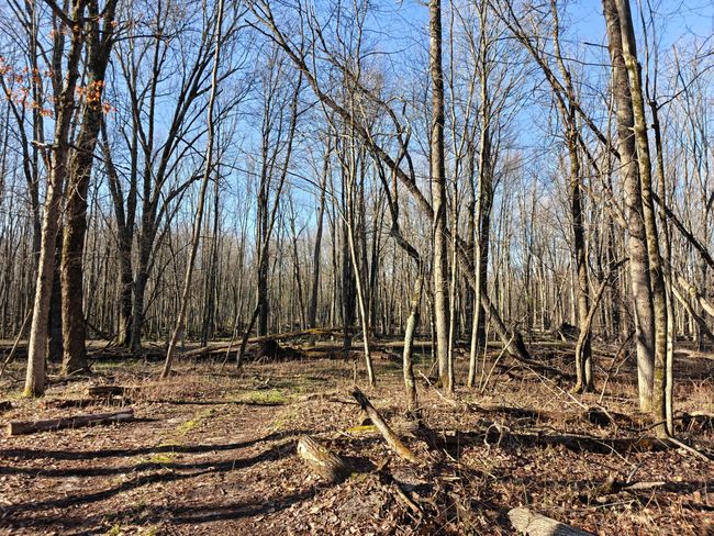 10830 3 Mile Rd, Home with 0 bedrooms, 0 bathrooms and null parking in Branch MI | Image 46