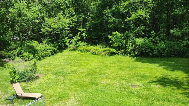 View of green lawn | Image 14