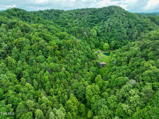 24483 Cave Creek Rd, House other with 5 bedrooms, 3 bathrooms and null parking in Abingdon VA | Image 86