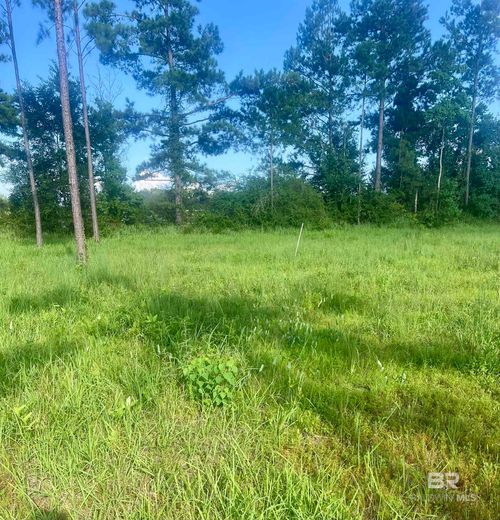 24736 Road Street, Robertsdale, AL, 36567 | Card Image