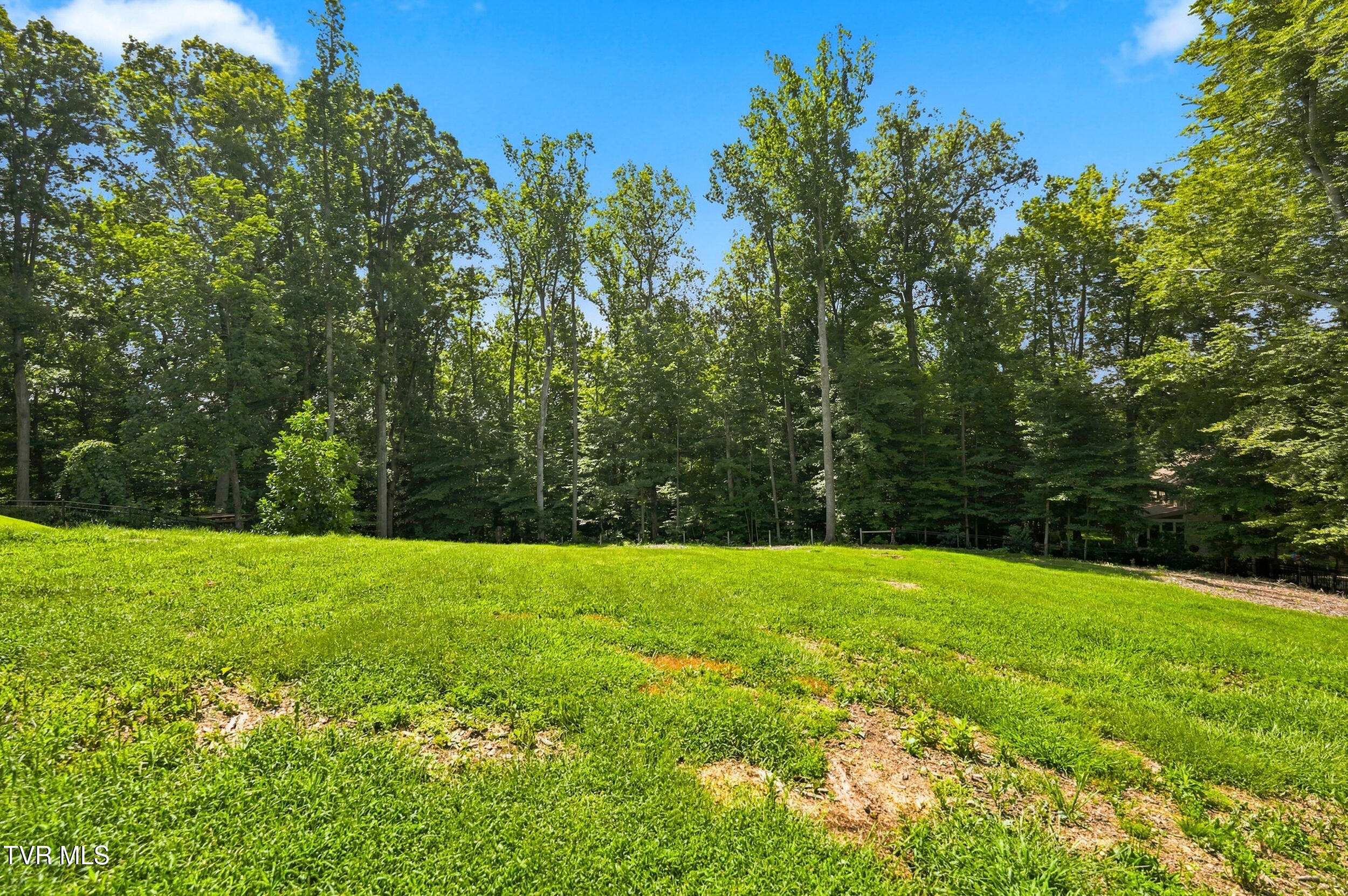 Land in Johnson City 3