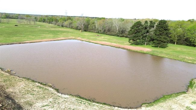 3145 Fm 1280 W, Home with 0 bedrooms, 0 bathrooms and null parking in Lovelady TX | Image 7