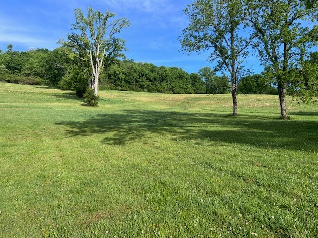 Land in Petersburg