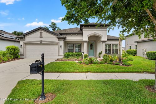 8320 Bluevine Sky Dr, LAND O LAKES, FL, 34637-7650 | Card Image