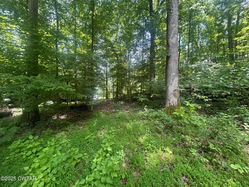 00 Cedar Ln, Sugar Tree, TN, 38380 | Card Image