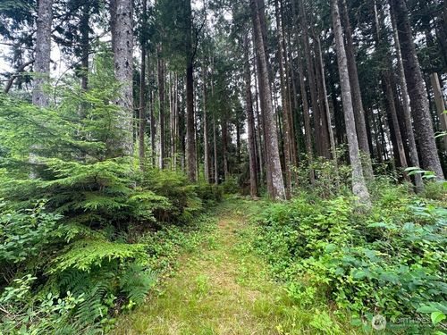 44 Robin Ln, Pacific Beach, WA, 98571-5013 | Card Image