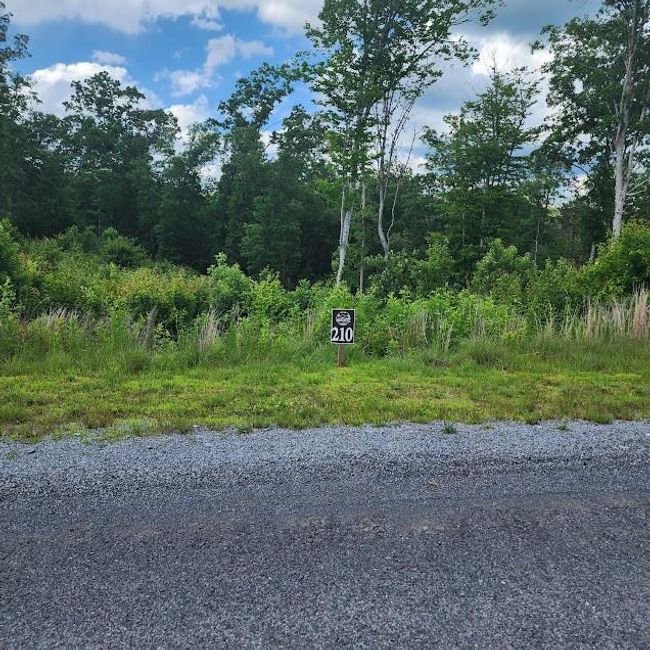 0 Woodstone Trail, Home with 0 bedrooms, 0 bathrooms and null parking in Ellijay GA | Image 11