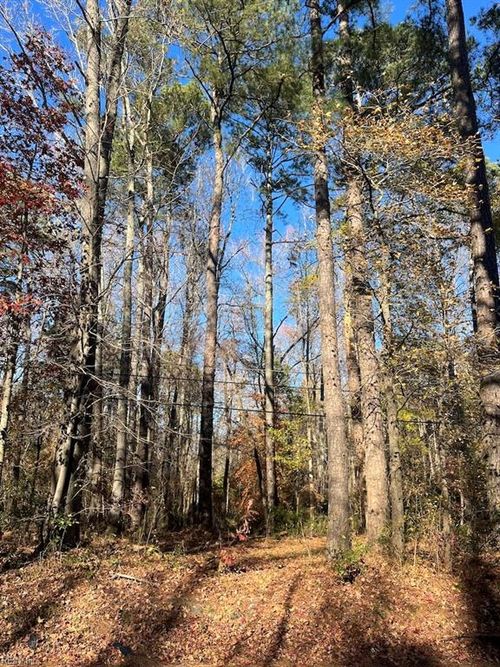 lot 80 Pughsville Road, Suffolk, VA, 23435 | Card Image