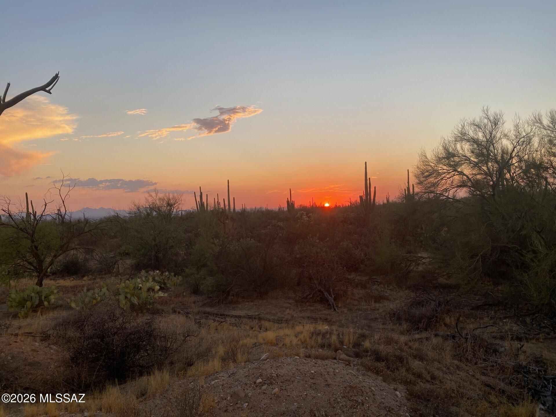 Land in Marana