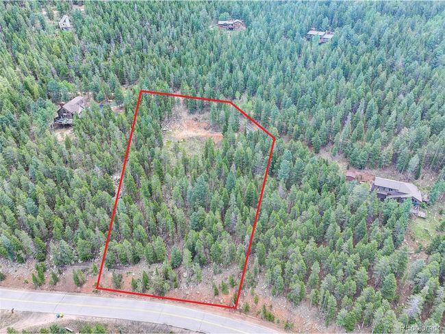 11275 Bear Run Trl, Home with 0 bedrooms, 0 bathrooms and null parking in Conifer CO | Image 7