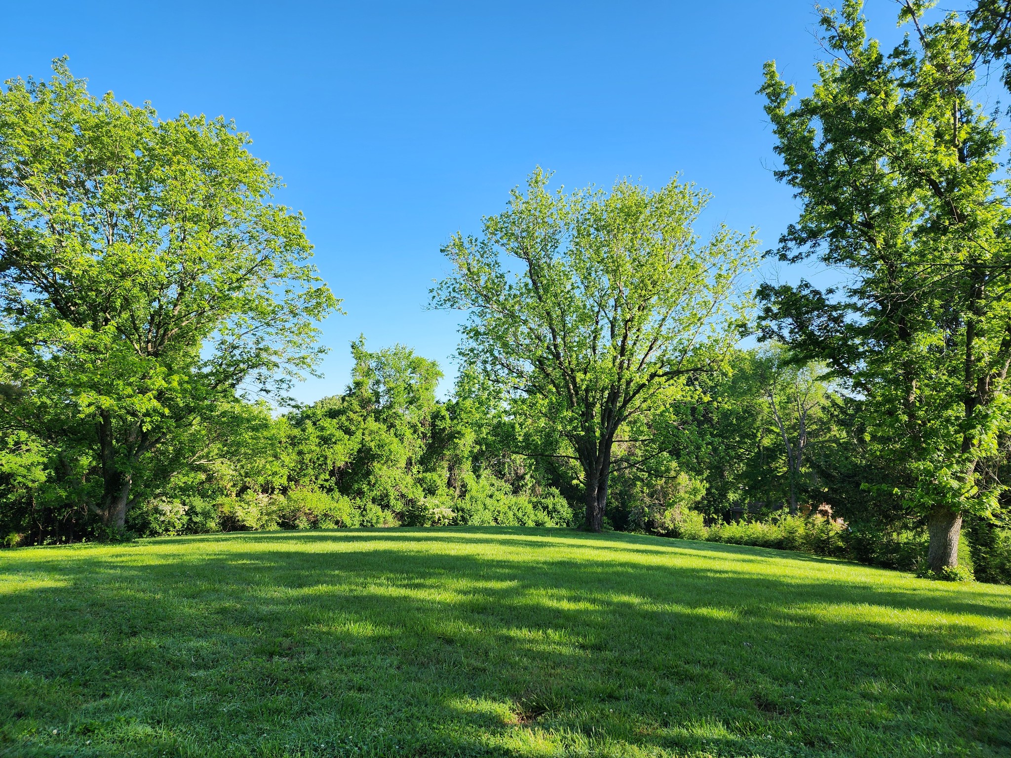 Residential in Nashville 4