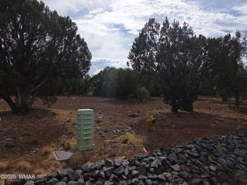 1920 Passage Dr, Show Low, AZ, 85901-6899 | Card Image