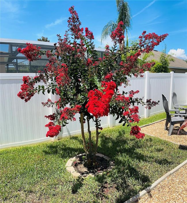2051 Sandy Garden Ln, House other with 4 bedrooms, 4 bathrooms and null parking in WINTER GARDEN FL | Image 23