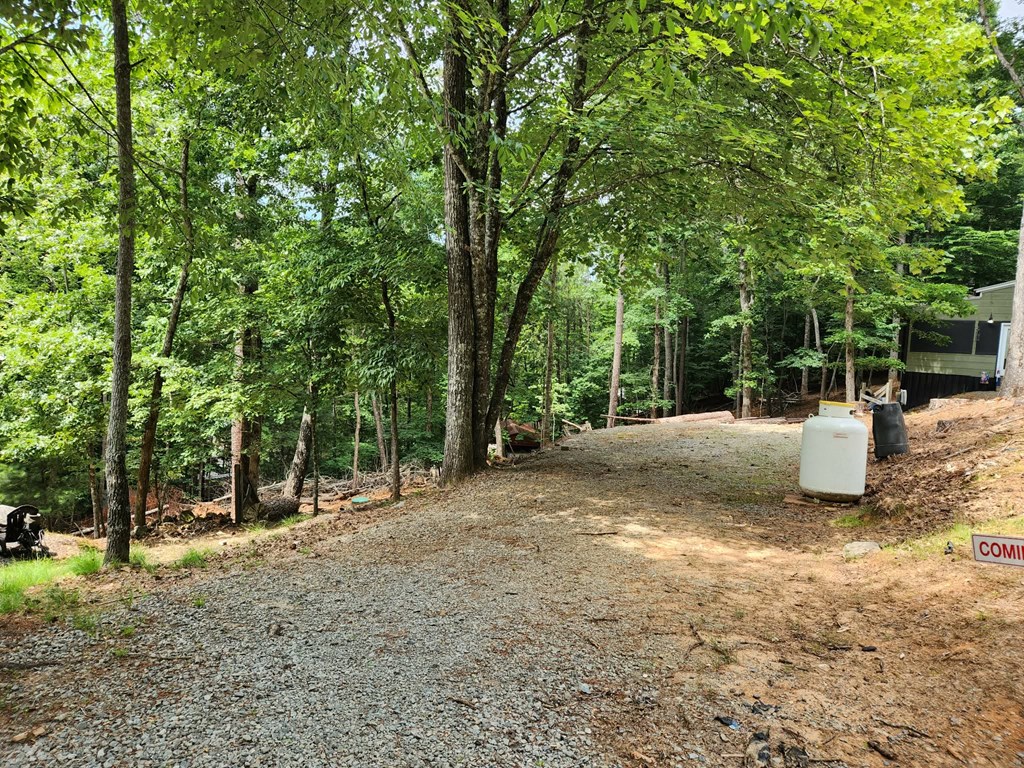 Land in Ellijay 4