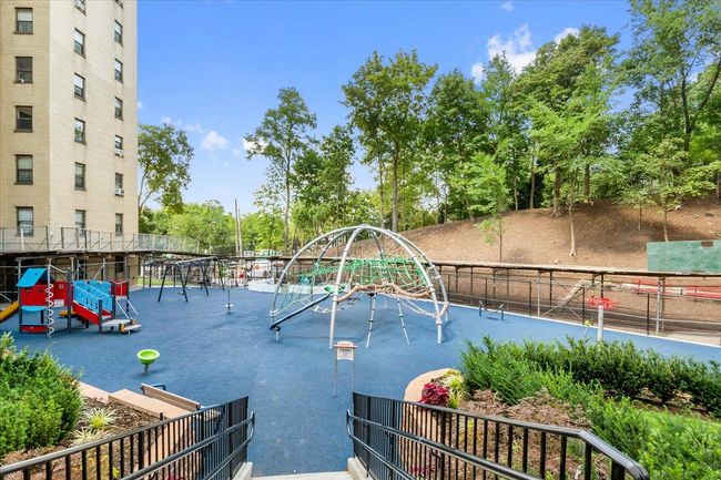 View of jungle gym | Image 20