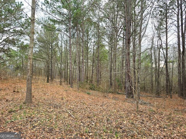 0 Willow St, Home with 0 bedrooms, 0 bathrooms and null parking in Stephens GA | Image 6