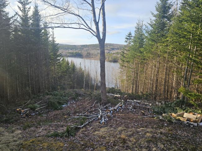 138 Grand Mira South Rd, House other with 3 bedrooms, 1 bathrooms and null parking in Marion Bridge NS | Image 36