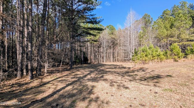 130 Moss Loop, House other with 4 bedrooms, 3 bathrooms and 2 parking in Enville TN | Image 40
