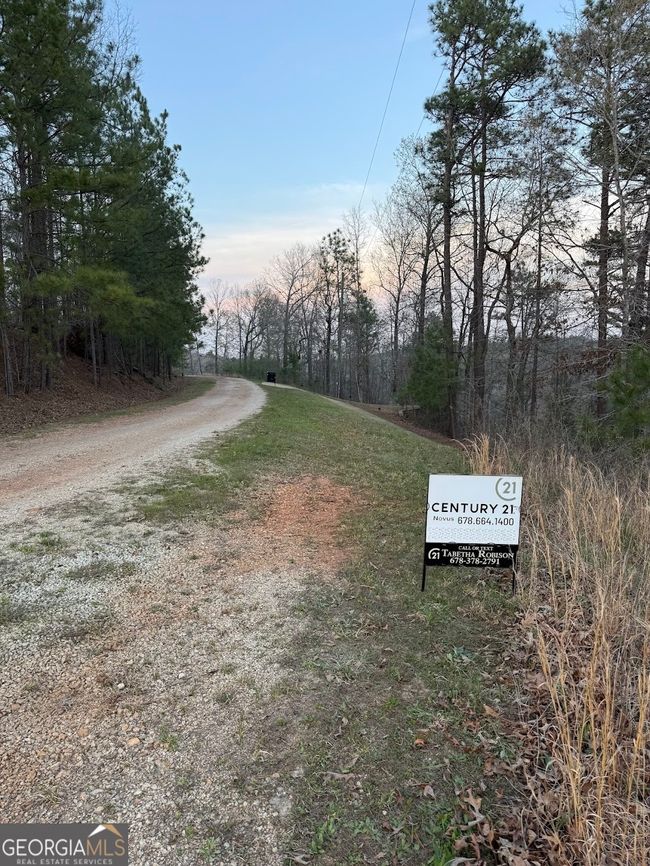 0 Luther Dr, Home with 0 bedrooms, 0 bathrooms and null parking in WEDOWEE AL | Image 12
