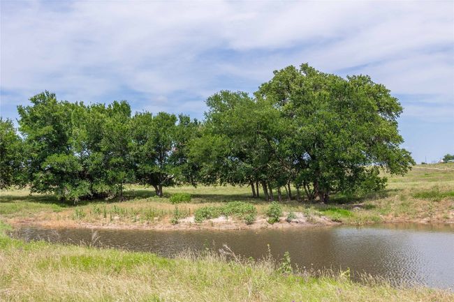 1183 Us Highway 84 W, Home with 3 bedrooms, 3 bathrooms and null parking in Mullin TX | Image 9