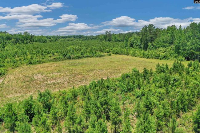 0000 N Brewington Rd, Home with 0 bedrooms, 0 bathrooms and null parking in Manning SC | Image 29