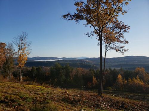 203 Pero Hill Rd, Thetford Ctr, VT, 05075-9079 | Card Image