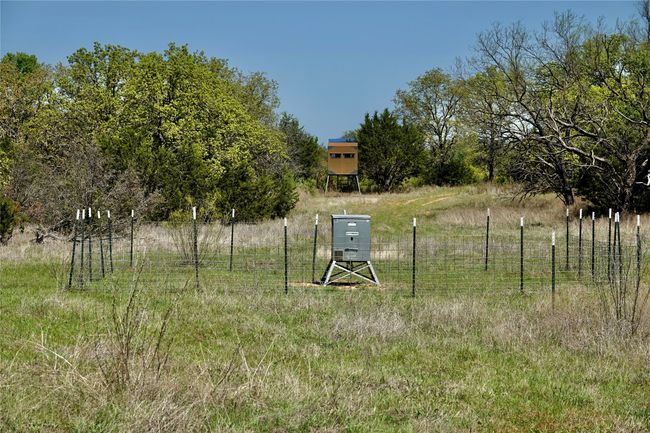 12345 County Road 107, Home with 0 bedrooms, 0 bathrooms and null parking in Mingus TX | Image 34