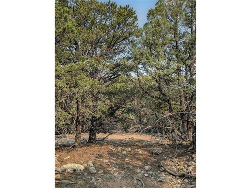 1704 Willow Creek Way, Crestone, CO, 81131 | Card Image