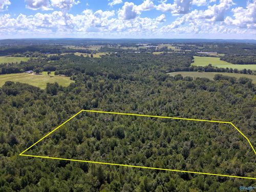 Lot 4 New Harmony Rd, Arab, AL, 35016 | Card Image