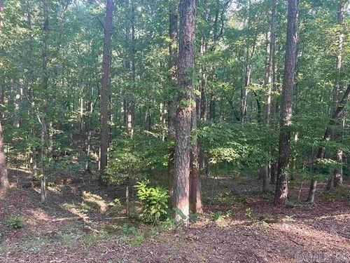 Lot 29 Carballo Ln, Hot Springs Village, AR, 71909-3418 | Card Image