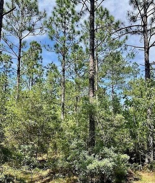 NHN Audubon St, Lumberton, MS, 39455 | Card Image