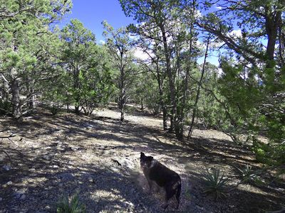 0 Velasquez, Home with 0 bedrooms, 0 bathrooms and null parking in Glorieta NM | Image 1